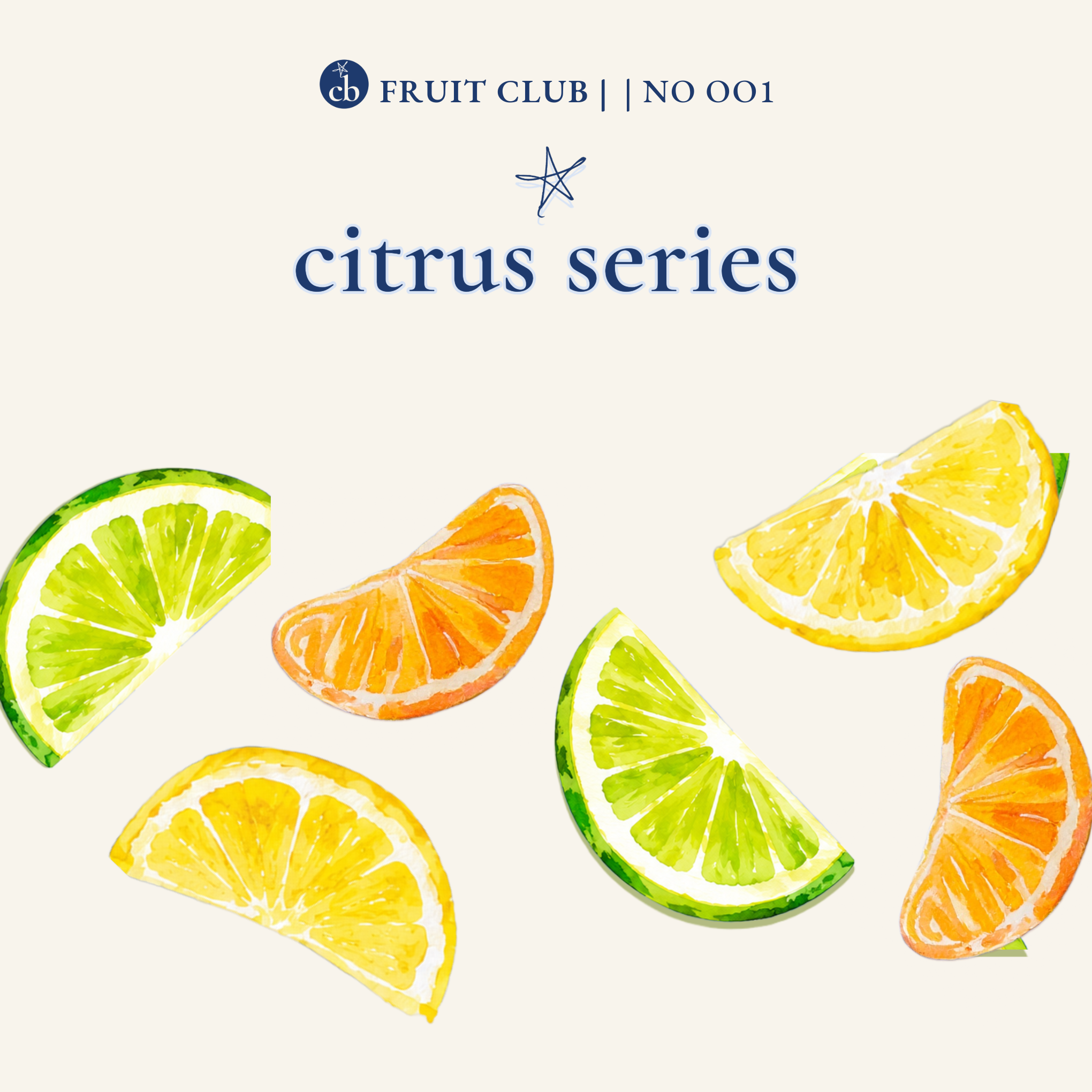Citrus Picnic Pack cover, mobile view — gingham wallpaper collection