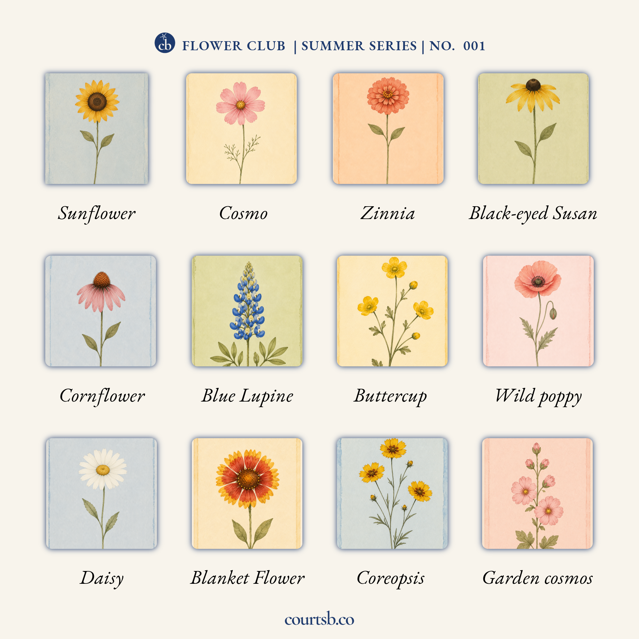 Summer garden